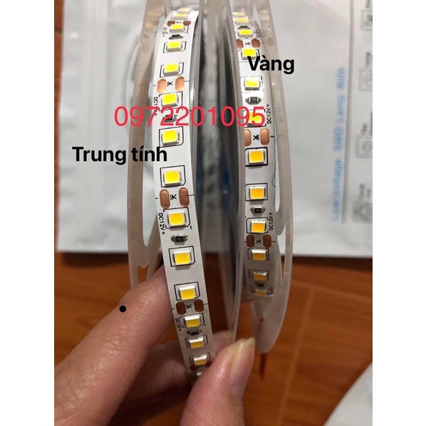 Cuộn Led dây dán 2835 12V 120, 180, 240 mắt led - Ánh sáng vàng, trắng, trung tính