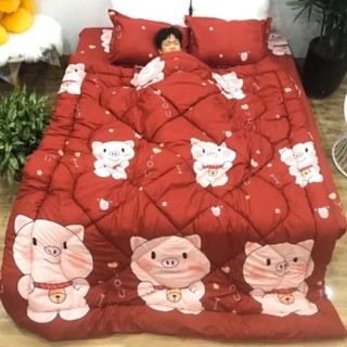 Chăn phao poly cotton có ruột bông dày siêu ấm