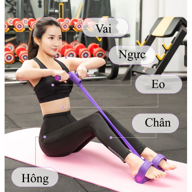 Dây Tập Gym Đa Năng Đàn Hồi Tập Thể Dục 5 nhóm cơ Mông, Bụng, Vai, Ngực, Chân