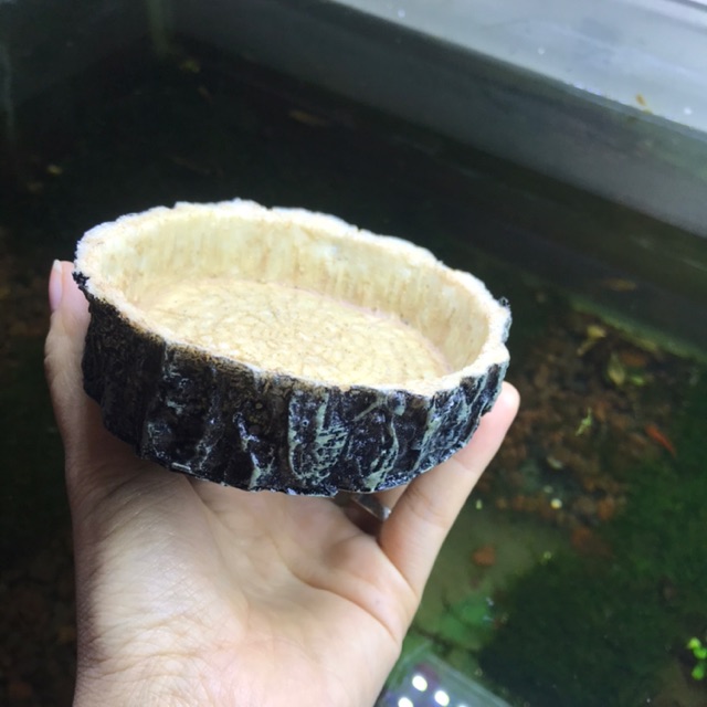 Chén cho tép ăn ( Gốc cây giả đá)