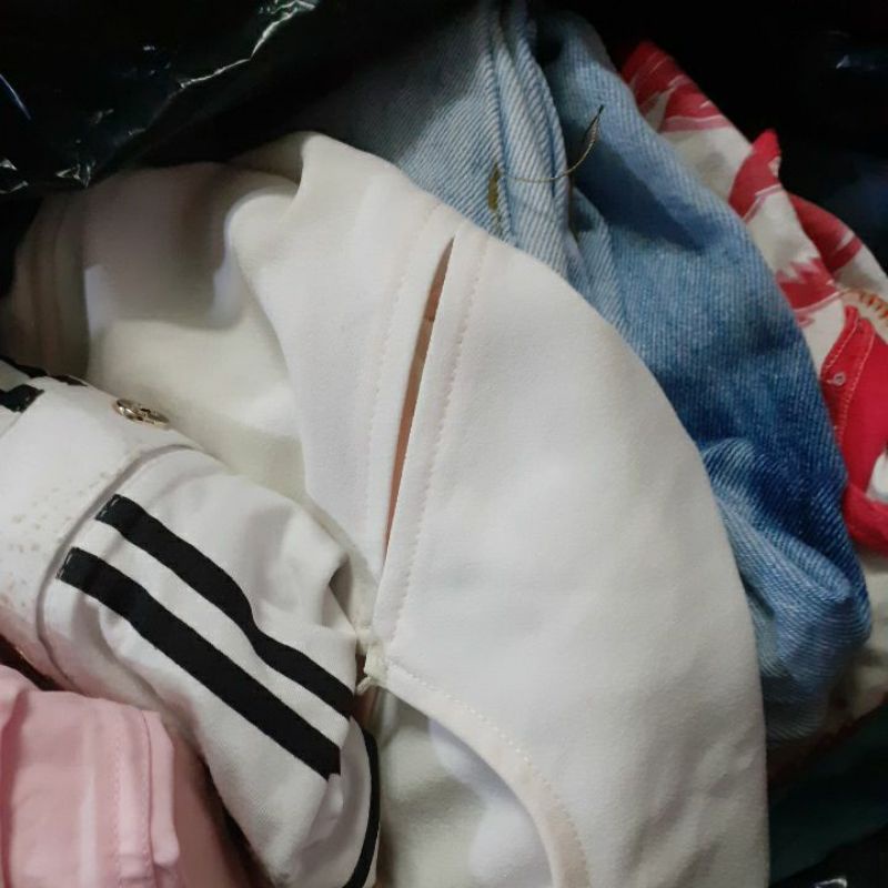 đơn 75k của popolinh