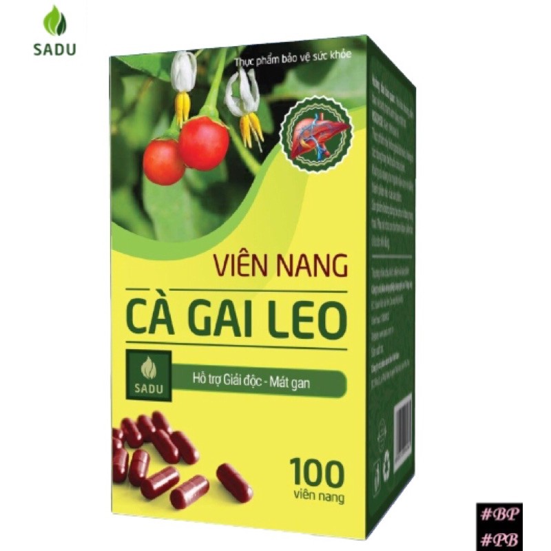 [MẪU MỚI] Hộp 60-100 Viên nang CÀ GAI LEO SADU