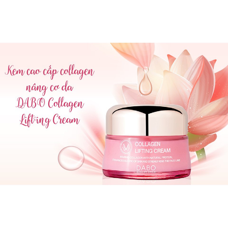 Kem Dưỡng Da Collagen nâng cơ da cao cấp - DABO Collagen Lifting Cream (chính hãng )