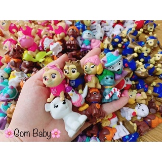 Chó cứu hộ 10 con