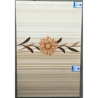 Gạch ốp tường Viglacera F3631 - 30x60