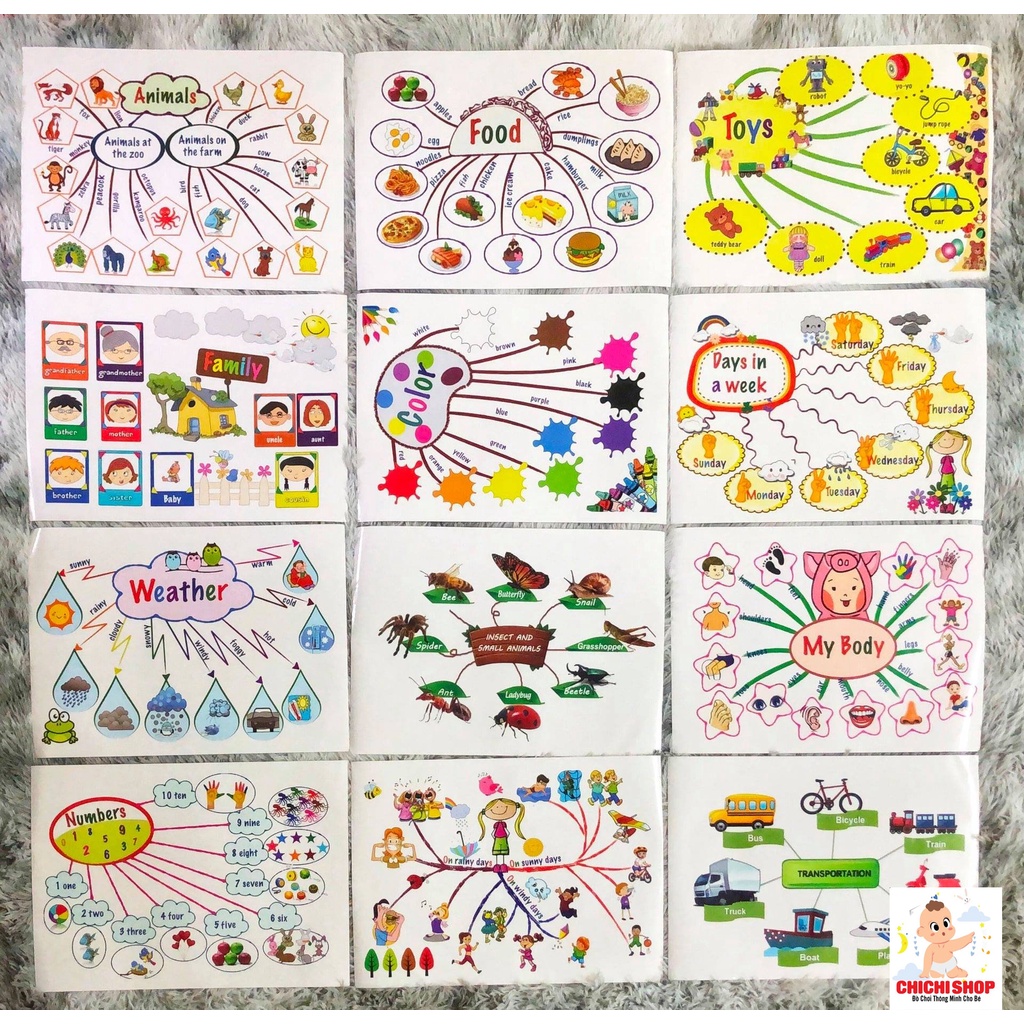 Bộ 12 Chủ Đề Mindmap - Sơ Đồ Tư Duy Học Tiếng Anh Dán Tường Tiện Lợi, Kích Thích Tư Duy