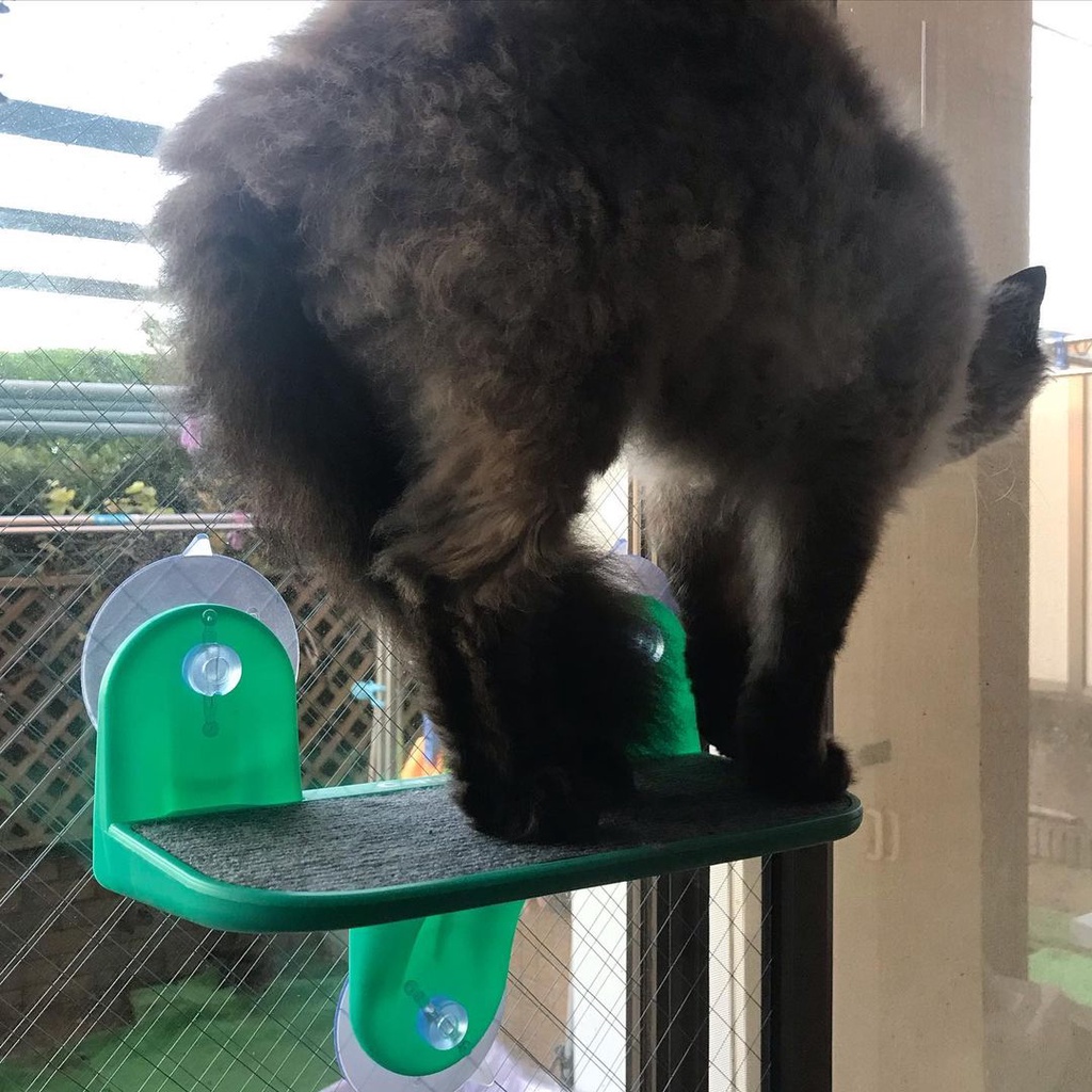 Bậc thang treo kiếng CattyMan cho mèo - 87911