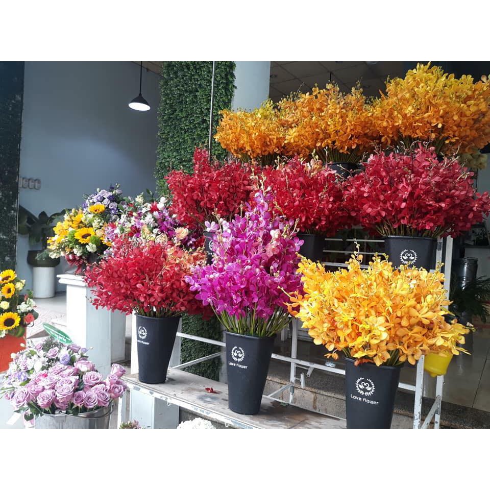 XÔ NHỰA CẮM HOA 18 chiếc