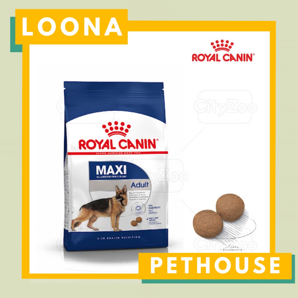 Hạt thức ăn cho chó Royal Canin Maxi Adult bao nguyên 4kg