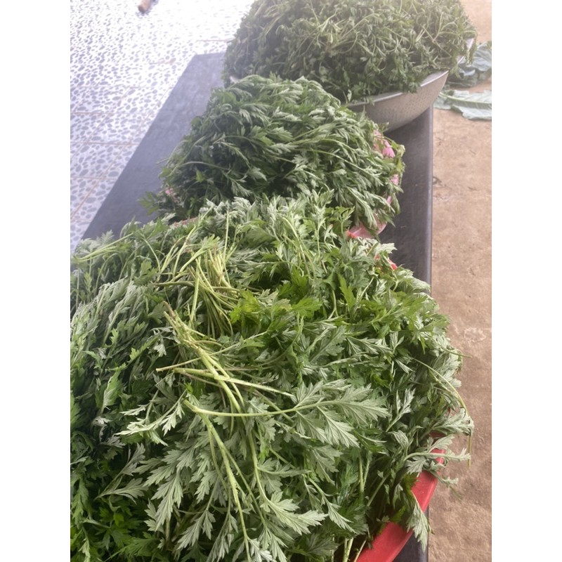 trà táo đỏ, kì tử, ngải cứu...