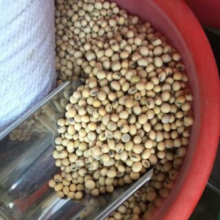 Đỗ tương 1kg