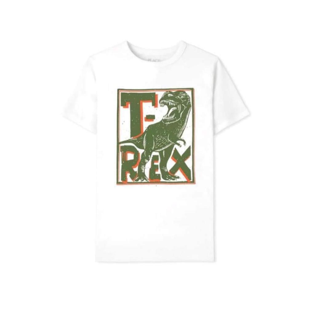 Áo Phông Cộc Tay bé Trai Size Đại 10,14,16Tuổi Xuất Dư Cotton Mềm Mịn Hippo House