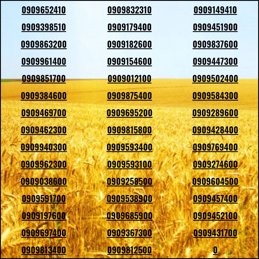 Sim đẹp Số tiến