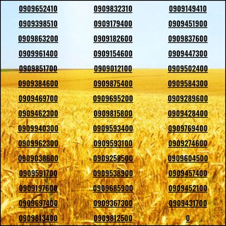 Sim đẹp Số tiến