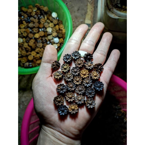 Chamr sen mix vòng trầm.hương giá rẻ