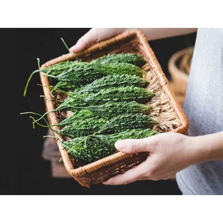BỘT KHỔ QUA RỪNG HANDMADE NHÀ BỘT