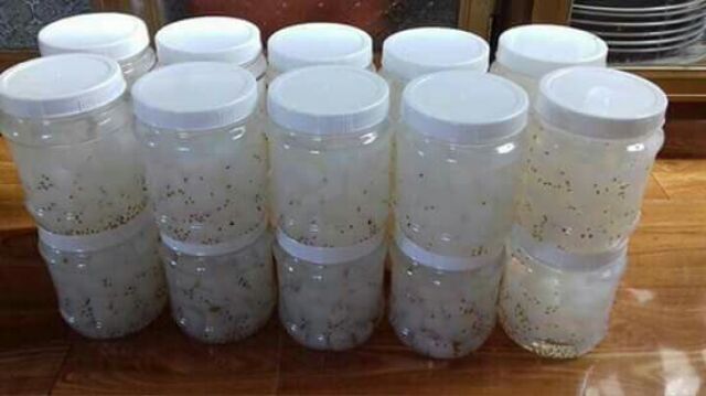 1Kg Thạch Dừa Thô Minh Tâm loại 1( tặng kèm hương vải , hoặc hạt é để nấu)/date mới nhất 2021 | BigBuy360 - bigbuy360.vn