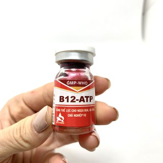 Combo 10 lọ Thuốc tăng B12 ATP