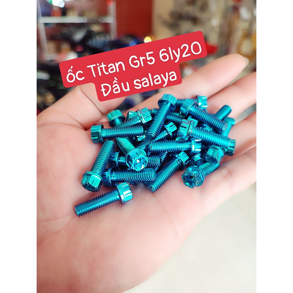 Ốc TiTan Gr5 6Ly10 6Ly2 6Ly3 Gắn Nón Bảo Hiểm Ốp Pô Che Sên Xe Máy