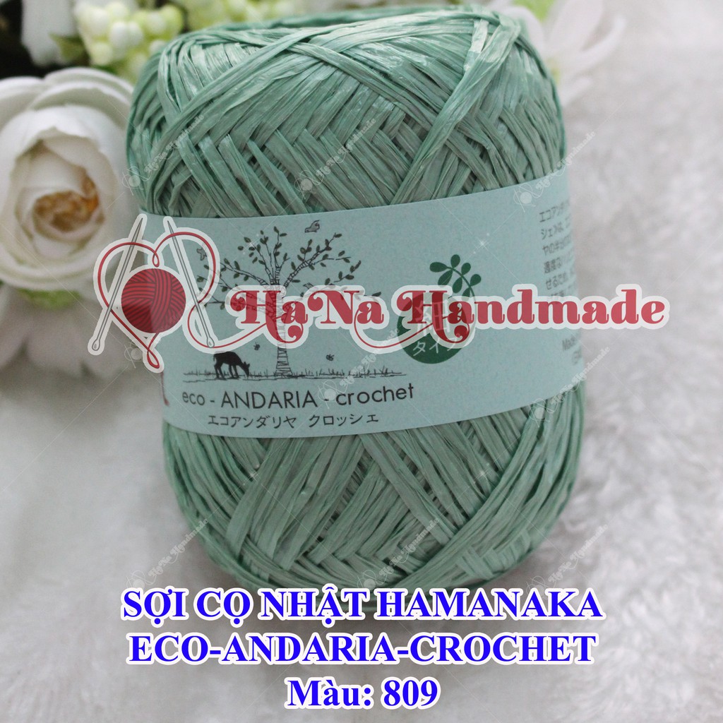 Sợi Cọ Nhật Hamanaka Eco Andaria Crochet