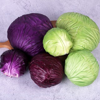 Nukied Mô Hình Rau Củ Quả Cuộn Sống Động Độc Đáo