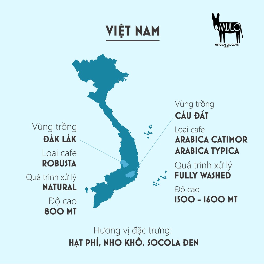 Cà phê Gu Nhẹ DOLCE FAR NIENTE nguyên chất , MULO Coffee - Hương vị thanh nhẹ, ngọt hậu