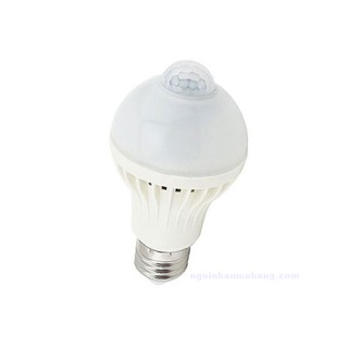 Bóng đèn cảm ứng ata at-07w