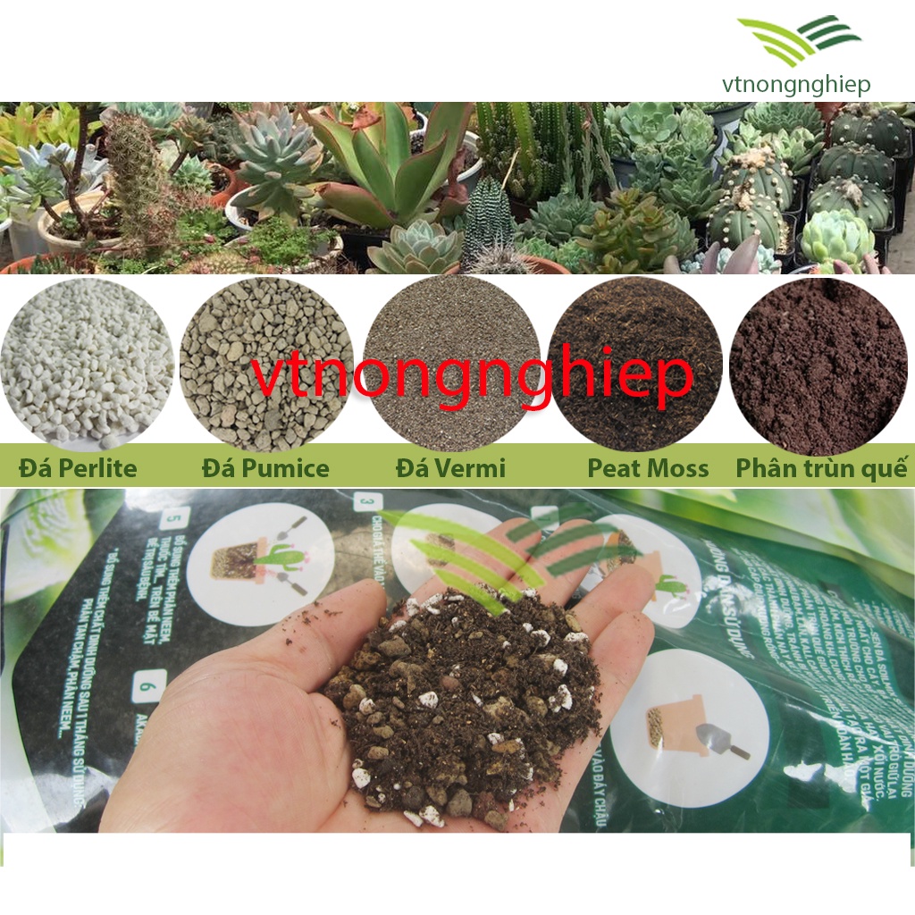 Giá thể trồng sen đá Soil Mix cao cấp, đơn 0.5kg-1kg, đất trồng sen đá, xương rồng, kích rễ, tăng trưởng