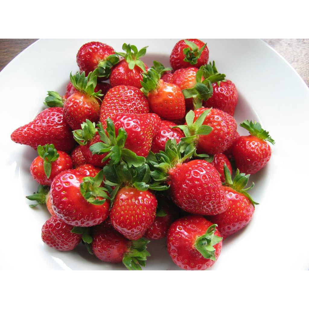 100 Hạt giống dâu tây đỏ quả to chịu nhiệt