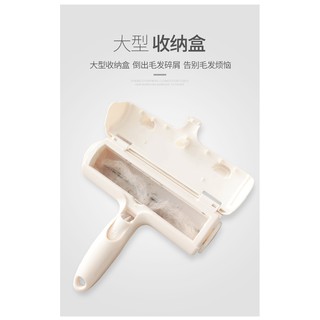 cây lấy lông mèo-cây lăn lông mèo