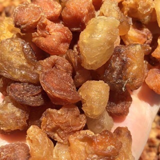 LONG NHÃN SẤY DẺO