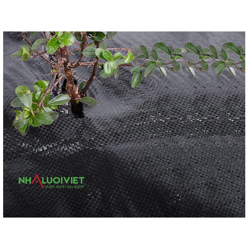Bạt phủ chống cỏ mọc- Khổ rộng 1m dày 120gr- hàng xuất khẩu