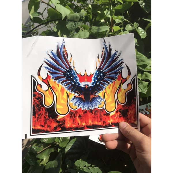Tem decal đại bàng mẫu mới dán mặt nạ mỏ trước sau các dòng xe