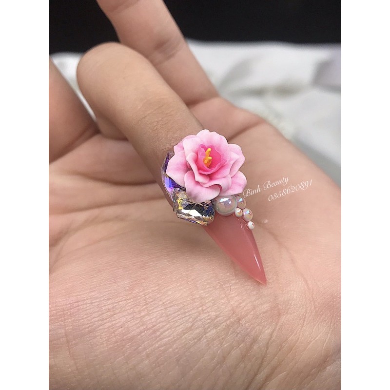 Hoa bột nail - Hồng gân