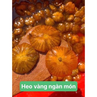 Tắc xí muội hoa