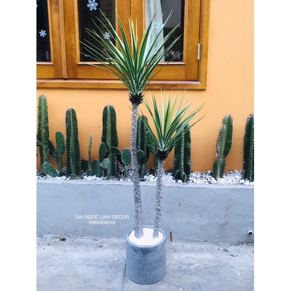 Cây phát tài núi giả 1,4m