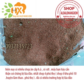 hạt giống cây tràm úc -500 gram
