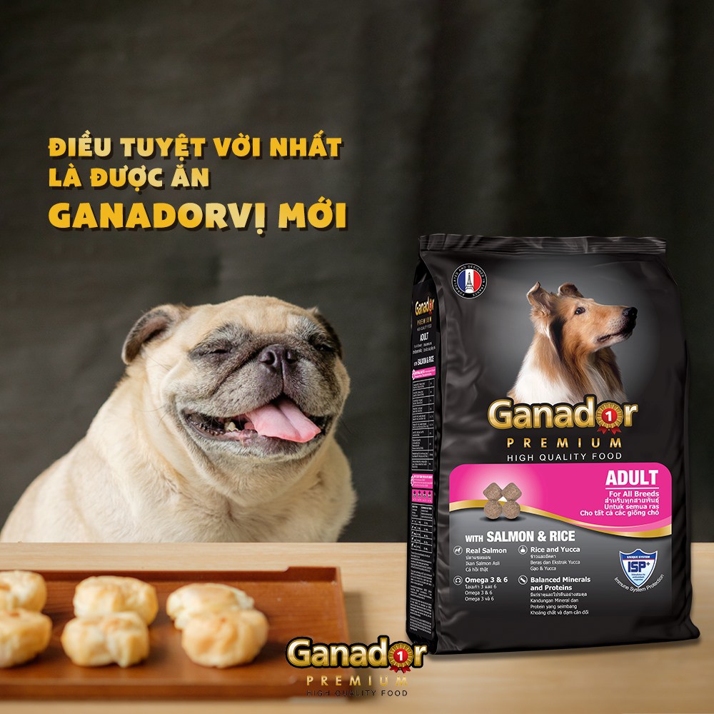 [3kg] Hạt Ganador cho chó trưởng thành - Cá Hồi & Gạo