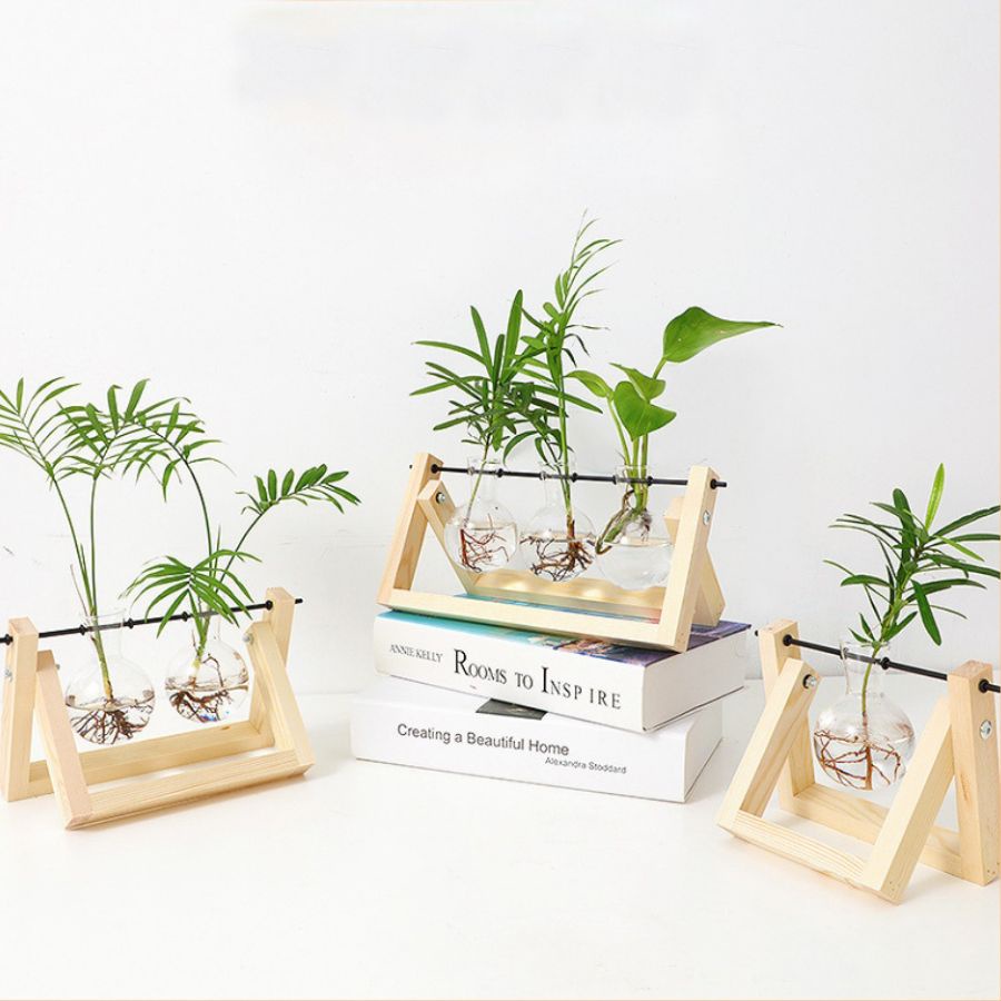 Lọ hoa thuỷ tinh đế gỗ trong cây thuỷ sinh, bình hoa thuỷ tinh decor phòng khách và phòng ngủ