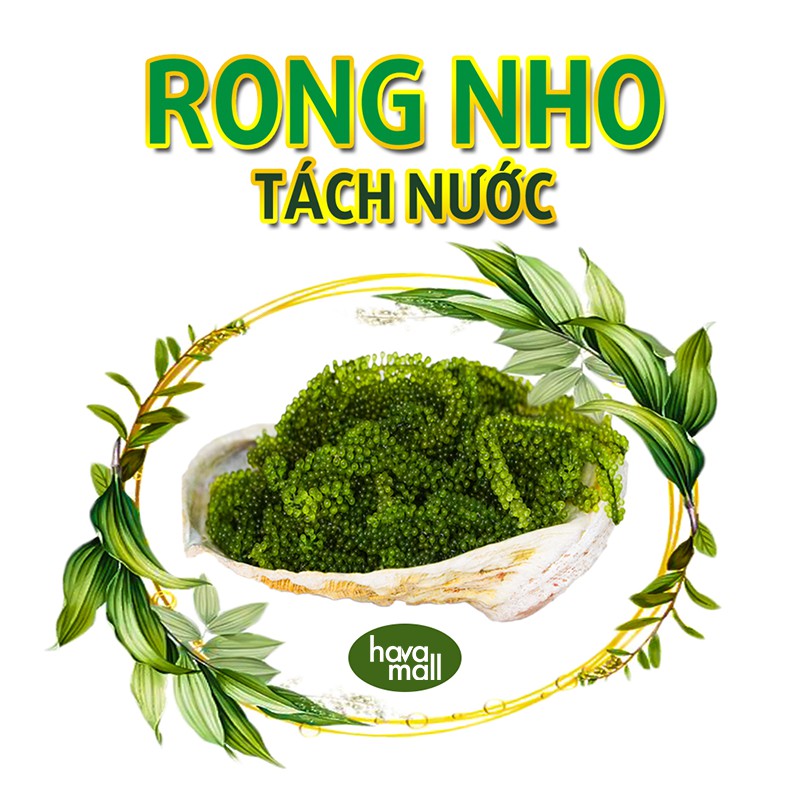 [HÀNG CHÍNH HÃNG] Rong Nho Tách Nước Tasami