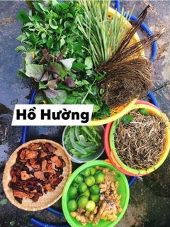 Dầu gội Hồ Hường