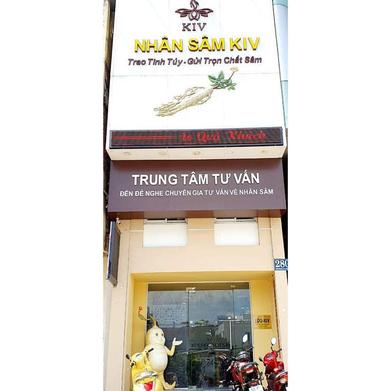 [Chính hãng] Hồng sâm hộp thiếc 6 năm tuổi 150gr,300gr