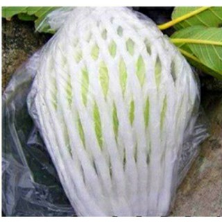 1kg túi bọc ổi