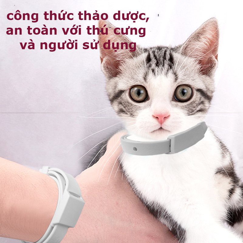 Vòng cổ chống ve rận bọ chét chó mèo - chống bọ chấy trên da lông cún, mèo - bền - đẹp - không thấm nước