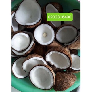 ship nhanh Dừa khô nạo sẵn (1kg )