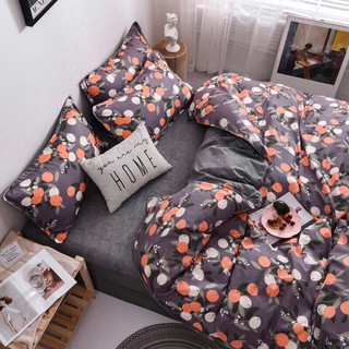 sét chăn ga cotton poly quả cam