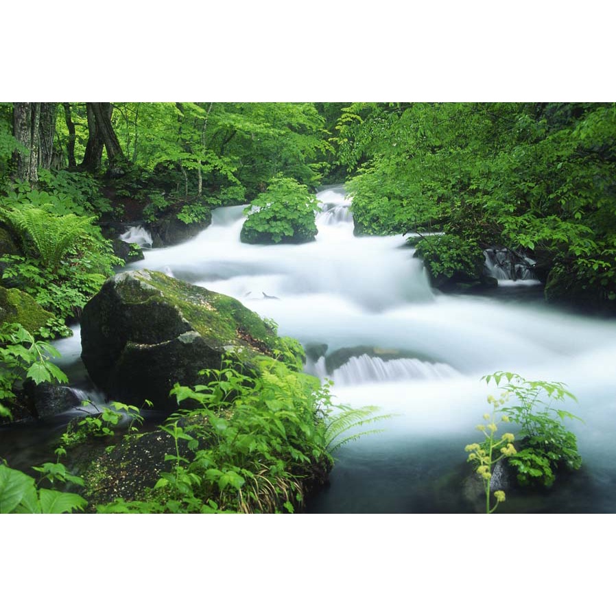 Tranh dán tường 3D cảnh thác nước hùng vỹ cảnh quan thác nước trở nên huyền bí và ngoạn mục giữa đại ngàn xanh thẳm.