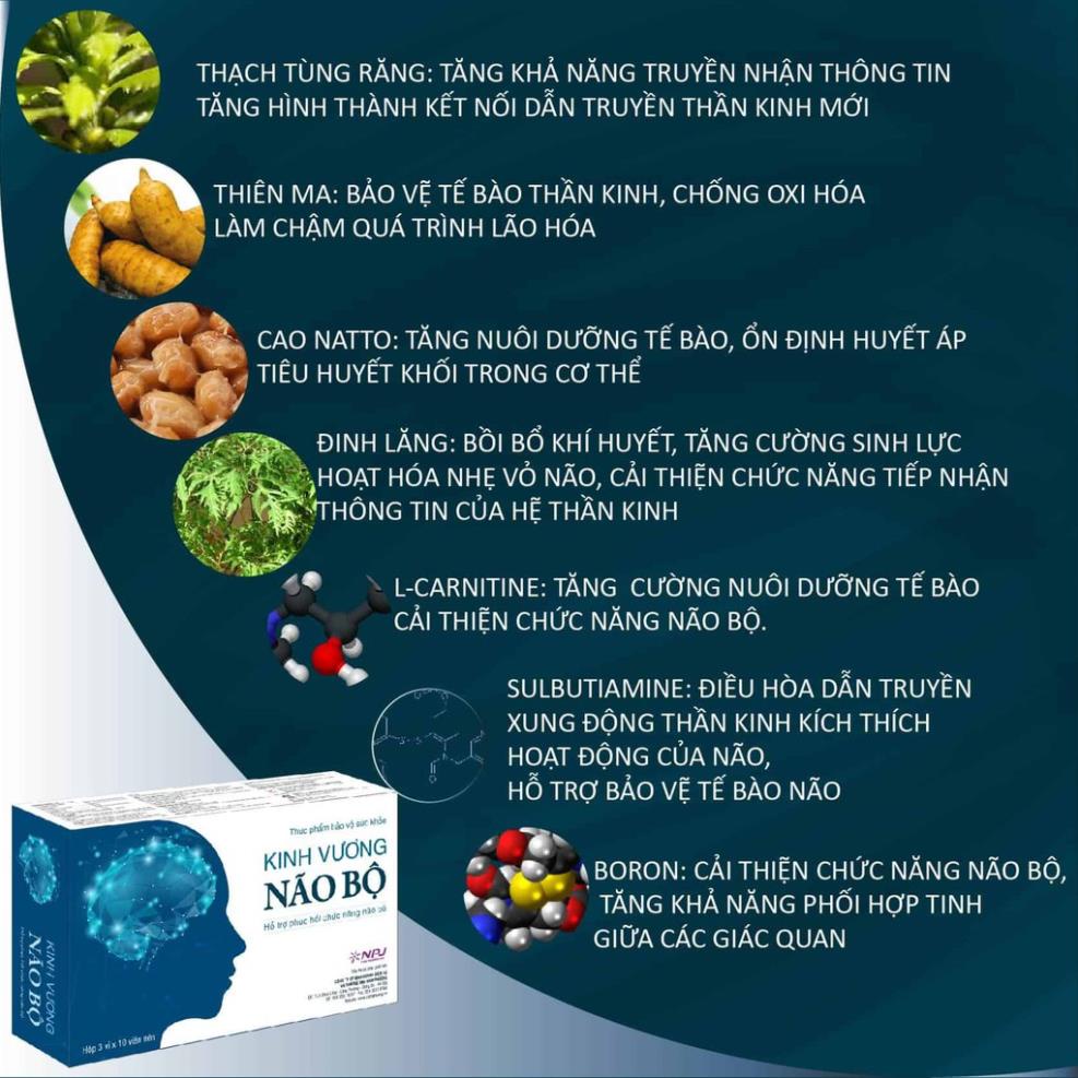 Kinh Vương Não Bộ - Hỗ trợ tăng cường trí não (Hộp 30 viên)