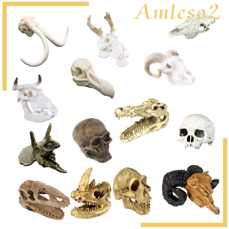 Đầu lâu / hang động rắn dùng làm đồ trang trí môi trường sống cho bò sát