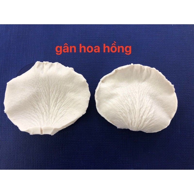 Silicon Gân hoa hồng